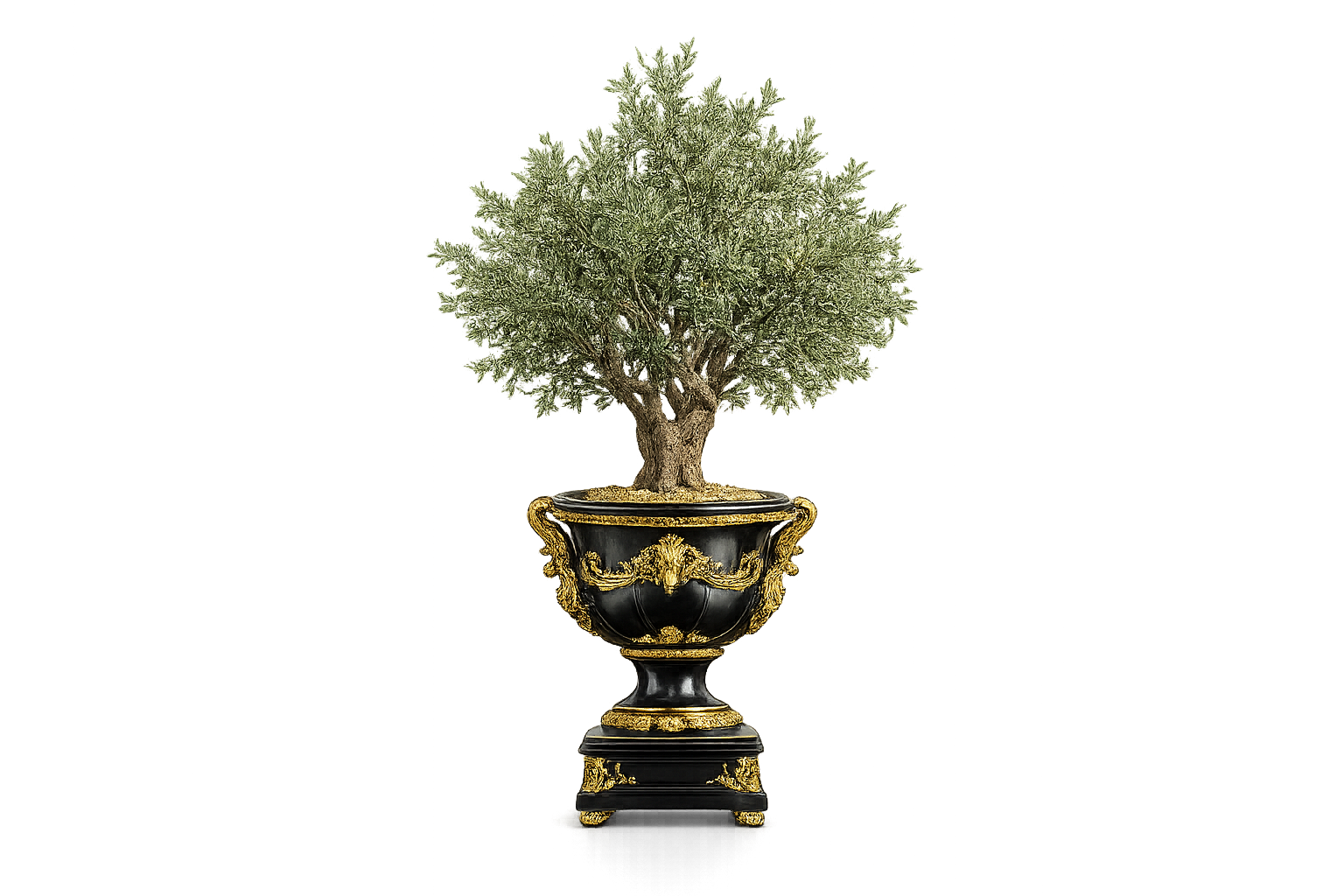 Green French Olive Tree Planter