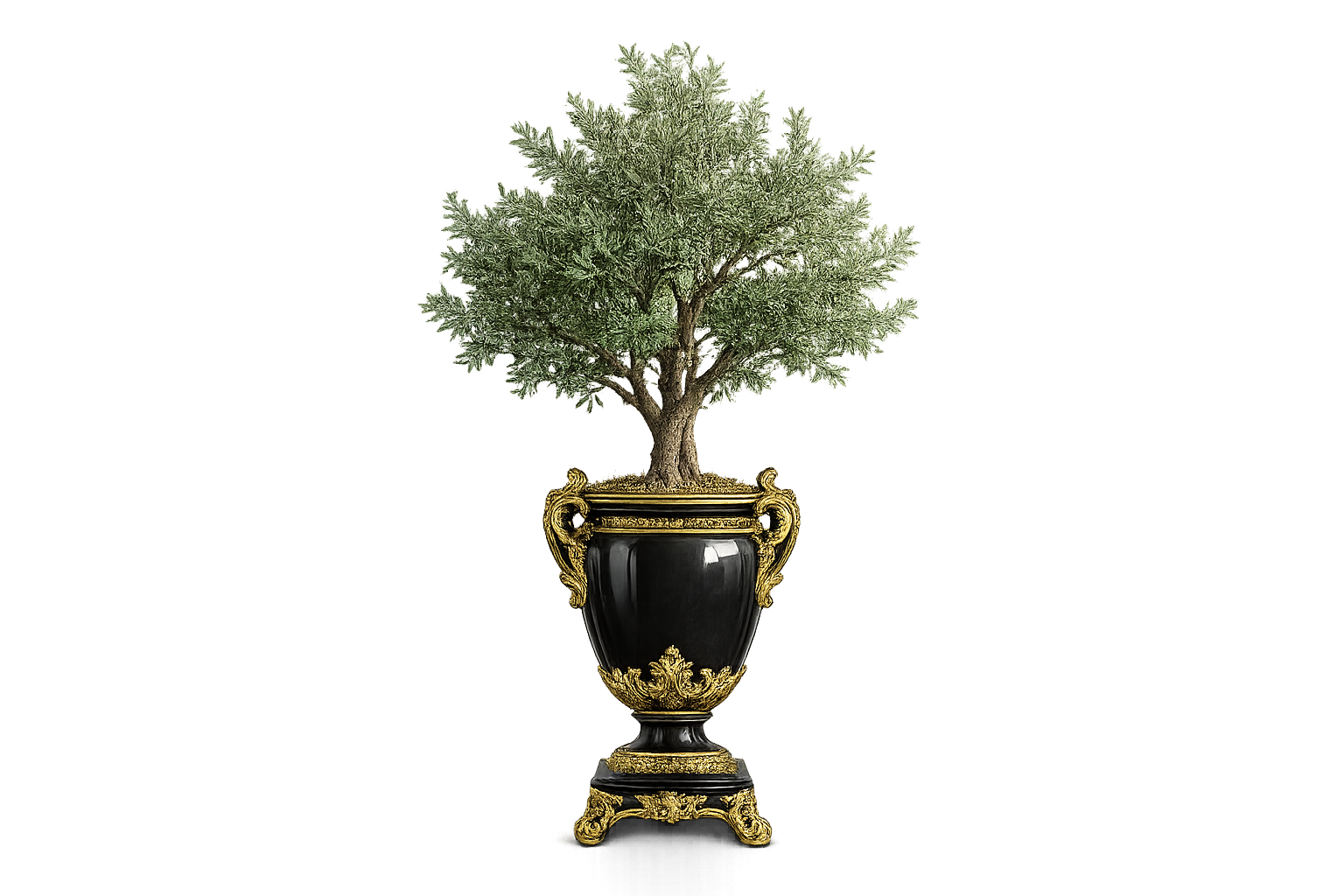 Green French Gold Olive Tree